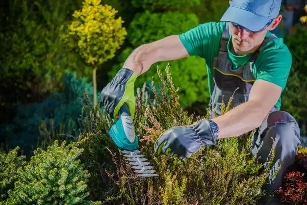 landscaping services Lilbourn